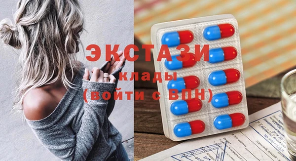индика Пестово
