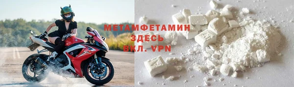 индика Пестово