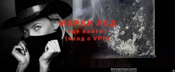 индика Пестово
