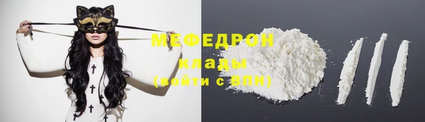 индика Пестово