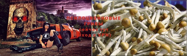 мет Переславль-Залесский