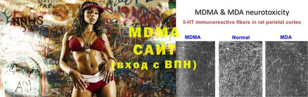 индика Пестово