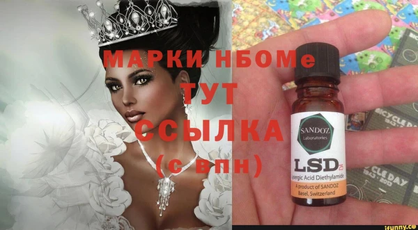 индика Пестово