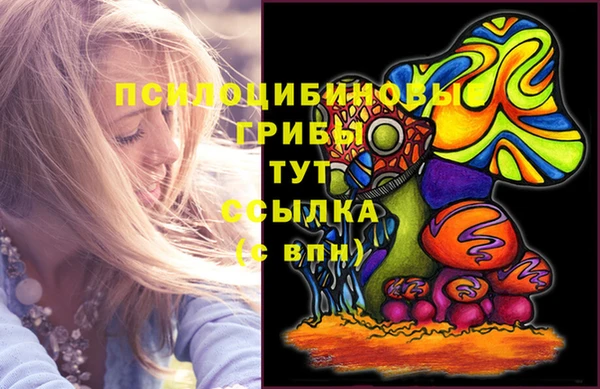 ECSTASY Покачи