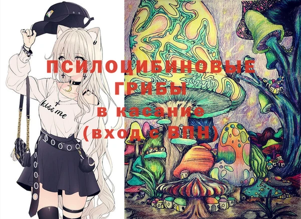 ешки Вуктыл