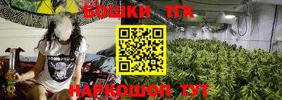 СК Дубна