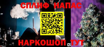 СК Дубна
