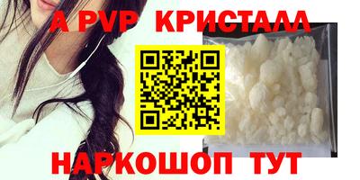 СК Дубна