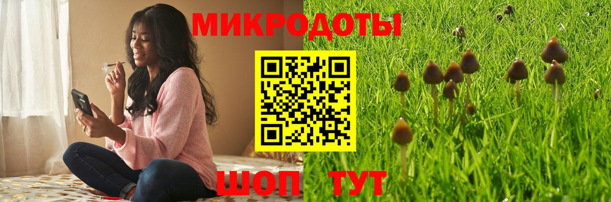 Галлюциногенные грибы Cubensis Надым